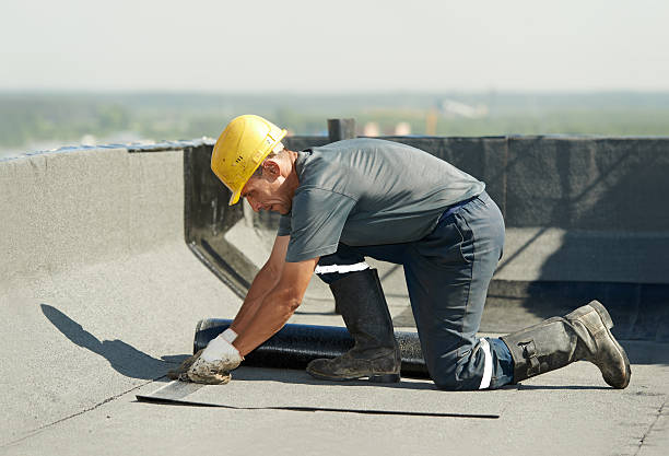 Best DIY Insulation Kits and Guidance in Sharon, WI