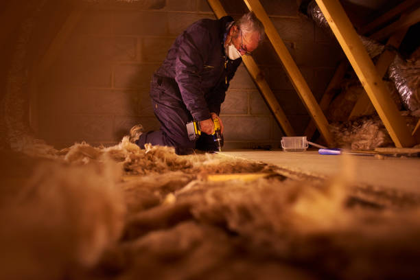 Best Eco-Friendly Insulation in Sharon, WI