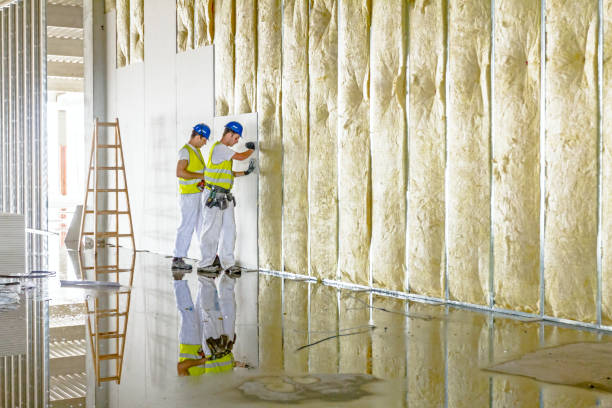 Best Geographic-Specific Insulation Services in Sharon, WI